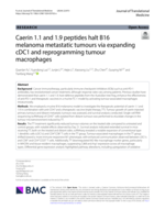 Caerin 1.1 and 1.9 peptides halt B16 melanoma metastatic tumours via expanding cDC1 and reprogramming tumour macrophages
