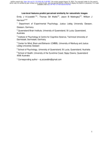 Low-level features predict perceived similarity for naturalistic images