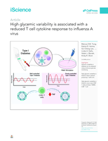 High glycemic variability is associated with a reduced T&nbsp;cell cytokine response to influenza A virus