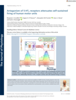 Antagonism of 5-HT2 receptors attenuates self-sustained firing of human motor units