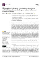 DRB1, DRB2 and DRB4 Are Required for an Appropriate miRNA-Mediated Molecular Response to Osmotic Stress in Arabidopsis thaliana
