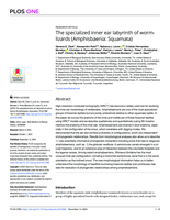 The specialized inner ear labyrinth of worm-lizards (Amphisbaenia: Squamata)