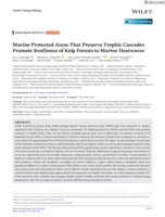 Marine Protected Areas That Preserve Trophic Cascades Promote Resilience of Kelp Forests to Marine Heatwaves