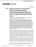 Advancements in noninvasive koala monitoring through combining Chlamydia detection with a targeted koala genotyping assay