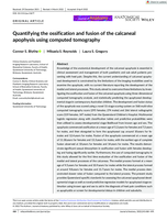Quantifying the ossification and fusion of the calcaneal apophysis using computed tomography
