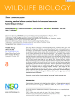 Hunting method affects cortisol levels in harvested mountain hares (Lepus timidus)