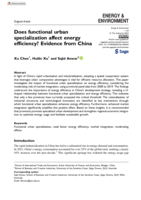 Does functional urban specialization affect energy efficiency? Evidence from China