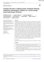 Ecological dynamics in Banksia aemula woodlands following widespread, anthropogenic wildfires on a world heritage listed island (K'gari), Australia