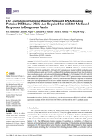 The Arabidopsis thaliana Double-Stranded RNA Binding Proteins DRB1 and DRB2 Are Required for miR160-Mediated Responses to Exogenous Auxin