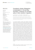 Humpback whales (Megaptera novaeangliae) in Hervey Bay, Australia: a stopover for females early in their southern migration
