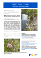 UniSC Plant Profile - Ericaceae, Epacris pulchella