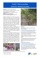 UniSC Plant Profile - Myrtaceae, Melaleuca thymifolia