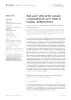 Bark water affects the isotopic composition of xylem water in tropical rainforest trees