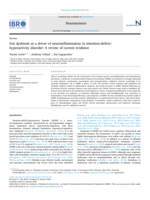Gut dysbiosis as a driver of neuroinflammation in attention-deficit/hyperactivity disorder: A review of current evidence