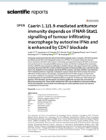 Caerin 1.1/1.9-mediated antitumor immunity depends on IFNAR-Stat1 signalling of tumour infiltrating macrophage by autocrine IFNα and is enhanced by CD47 blockade