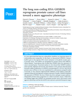The long non-coding RNA GHSROS reprograms prostate cancer cell lines towards a more aggressive phenotype