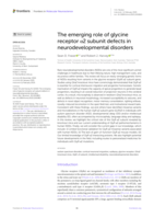 The emerging role of glycine receptor α2 subunit defects in neurodevelopmental disorders