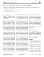 Does Reconsolidation Occur in Humans: A Reply