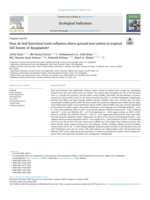 How do leaf functional traits influence above-ground tree carbon in tropical hill forests of Bangladesh?