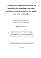 Examining how employee perceptions and personal resources influence workplace meaning, work engagement, service quality and turnover intention