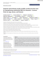 Hypoxia and ischemic stroke modify cerebrovascular tone by upregulating endothelial BK(Ca) channels—Lessons from rat, pig, mouse, and human