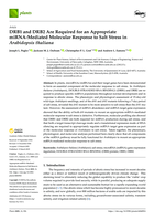 DRB1 and DRB2 Are Required for an Appropriate miRNA-Mediated Molecular Response to Salt Stress in Arabidopsis thaliana