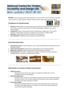Why Mould is an Issue in Timber Construction