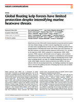 Global floating kelp forests have limited protection despite intensifying marine heatwave threats