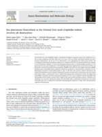 Sex pheromone biosynthesis in the Oriental fruit moth Grapholita molesta involves Δ8 desaturation