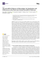 The microRNA Pathway of Macroalgae: Its Similarities and Differences to the Plant and Animal microRNA Pathways