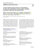 Current methods and best practice recommendations for skate and ray (Batoidea) research: capture, handling, anaesthesia, euthanasia, and tag attachment