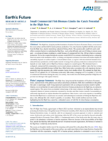 Small Commercial Fish Biomass Limits the Catch Potential in the High Seas