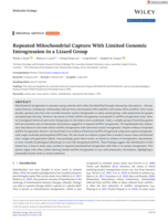 Repeated Mitochondrial Capture With Limited Genomic Introgression in a Lizard Group