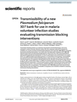 Transmissibility of a new Plasmodium falciparum 3D7 bank for use in malaria volunteer infection studies evaluating transmission blocking interventions
