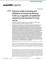 Genome-wide screening and validation of exosome-derived TLN1 as a regulator of epithelial–mesenchymal transition in lung cancer