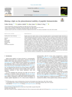 Shining a light on the photochemical stability of peptidic bioinsecticides