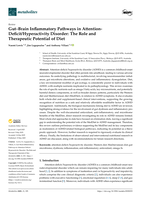 Gut–Brain Inflammatory Pathways in Attention-Deficit/Hyperactivity Disorder: The Role and Therapeutic Potential of Diet