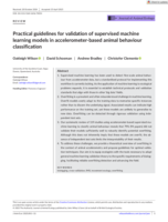 Practical guidelines for validation of supervised machine learning models in accelerometer-based animal behaviour classification