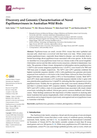 Discovery and Genomic Characterisation of Novel Papillomaviruses in Australian Wild Birds