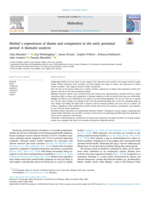 Mother’s experiences of shame and compassion in the early postnatal period: a thematic analysis