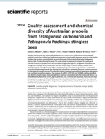 Quality assessment and chemical diversity of Australian propolis from Tetragonula carbonaria and Tetragonula hockingsi stingless bees