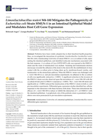 Limosilactobacillus reuteri M4-100 Mitigates the Pathogenicity of Escherichia coli Strain HMLN-1 in an Intestinal Epithelial Model and Modulates Host Cell Gene Expression