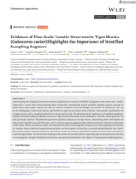 Evidence of Fine‐Scale Genetic Structure in Tiger Sharks (Galeocerdo cuvier) Highlights the Importance of Stratified Sampling Regimes