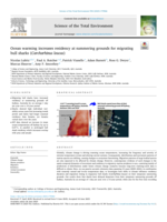 Ocean warming increases residency at summering grounds for migrating bull sharks (Carcharhinus leucas)