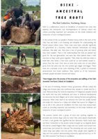 Osiki Ancestral Tree Roots [Cultural Art Installation]