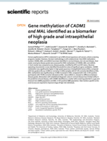 Gene methylation of CADM1 and MAL identified as a biomarker of high grade anal intraepithelial neoplasia