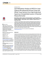 CpG Methylation Analysis of HPV16 in Laser Capture Microdissected Archival Tissue and Whole Tissue Sections from High Grade Anal Squamous Intraepithelial Lesions: A Potential Disease Biomarker