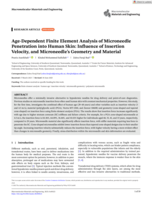 Age‐Dependent Finite Element Analysis of Microneedle Penetration into Human Skin: Influence of Insertion Velocity, and Microneedle's Geometry and Material