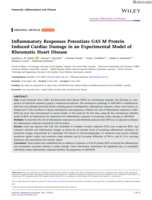 Inflammatory Responses Potentiate GAS M Protein Induced Cardiac Damage in an Experimental Model of Rheumatic Heart Disease