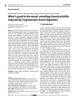 What’s good in the wood: unveiling chemical shifts induced by Cryptotermes brevis digestion